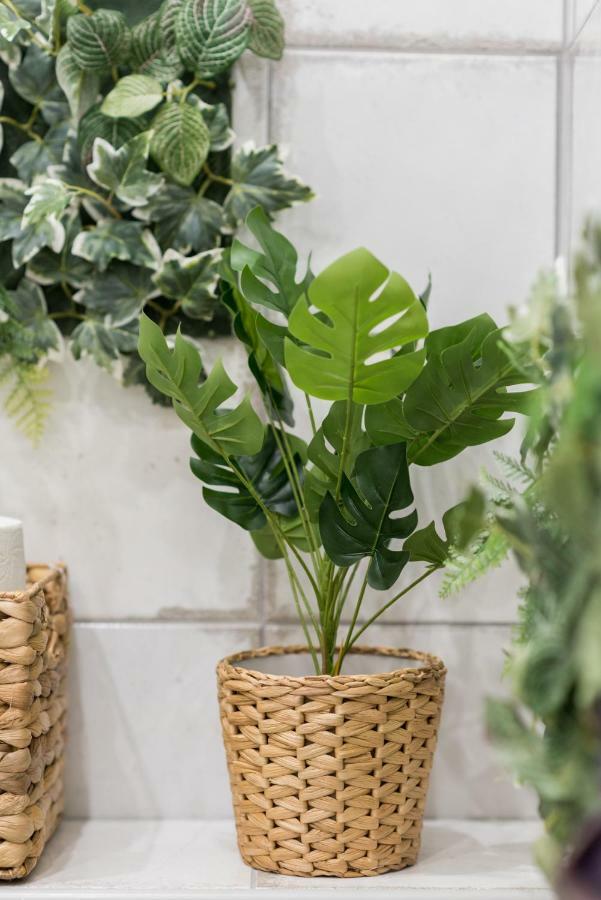 Apartamento Jungle Design