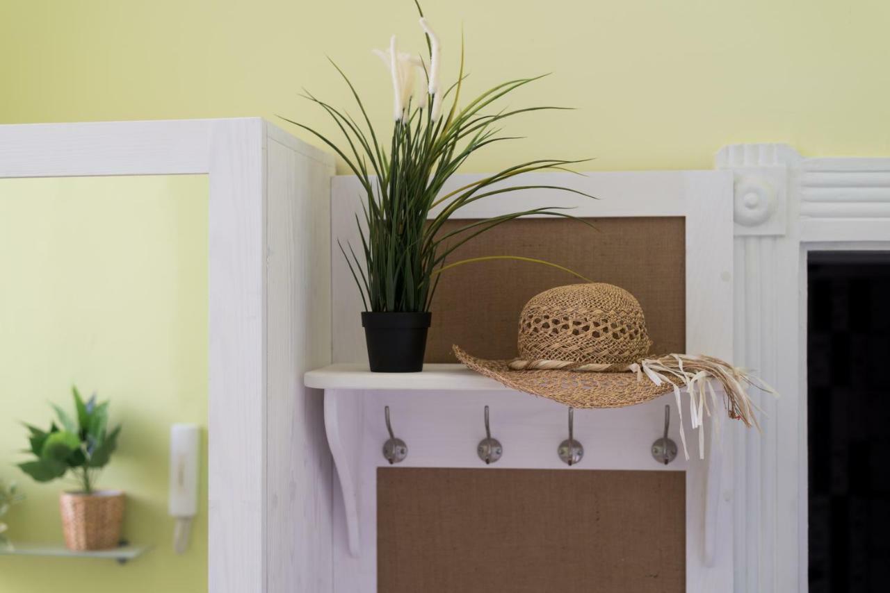 Jungle Design Apartamento *